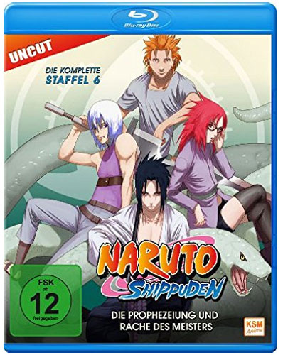 Naruto Shippuden - Staffel #6 (BR)
Min: 682/DD2.0/WS      Folge 333-363