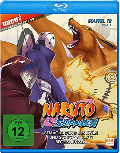 Naruto Shippuden - Staffel 12.1 (BR)
Min: 389/DD/WS, Flg.463-480, 2BRs, uncut