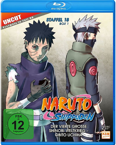 Naruto Shippuden - Staffel 18.1 (BR)
Der 4.große Shinobi Weltkrieg, 593-602