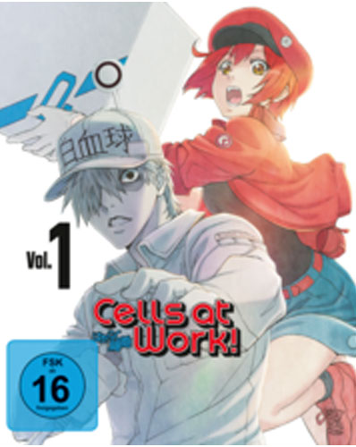 Cells at Work! Vol. 1 (BR+DVD)
2Disc