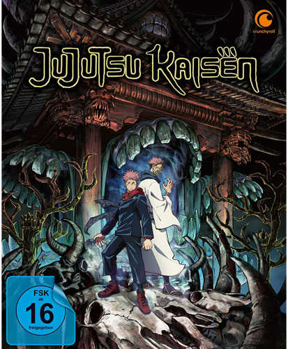 Jujutsu Kaisen - Staffel 1.1 (DVD) LE -SS- 
Sammelschuber (Limited Edition)