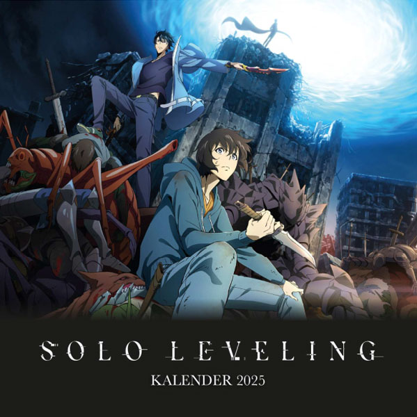 Wandkalender 2025 - Solo Leveling