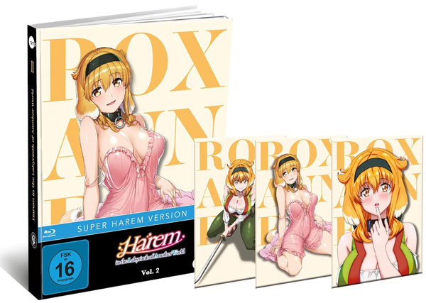 Harem in the Labyrinth of Another - Vol. 2 (BR) 
Min: 100/DD5.1/WS AniMoon