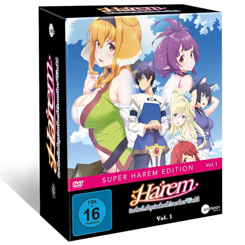 Harem in the Labyrinth of Another - Vol. 1 (DV) SS
Min: 100/DD5.1/WS mit Sammelschuber, AniMoon